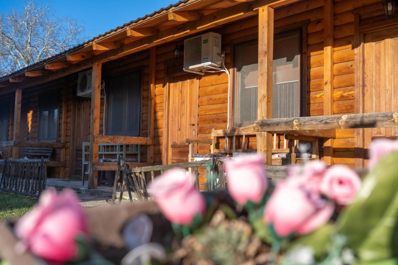 Lolini Bungalovi Novi Sad Exterior photo